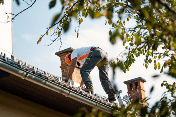Best Storm Damage Roof Repair  in Sussex, NJ