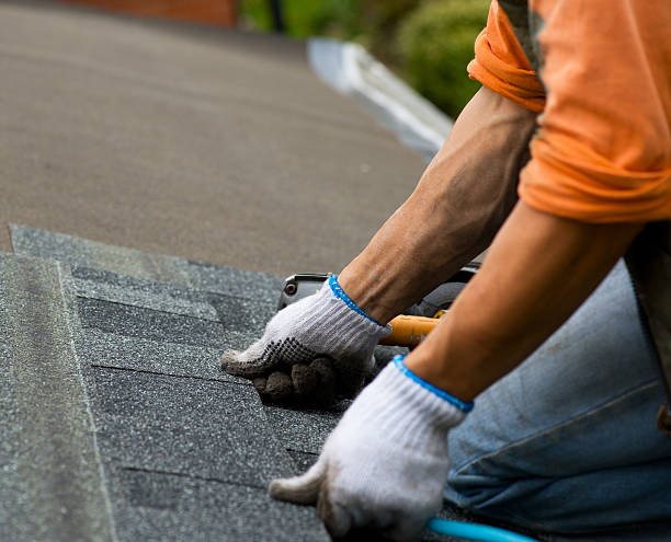 Best Gutter Installation and Roofing  in Sussex, NJ